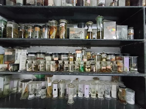 Biological Sciences Store Facility