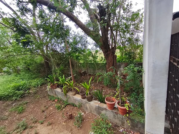 Botany Laboratory facility image
